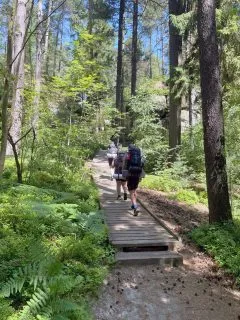 ZDofE03