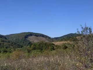 IMG-20211001-WA0013