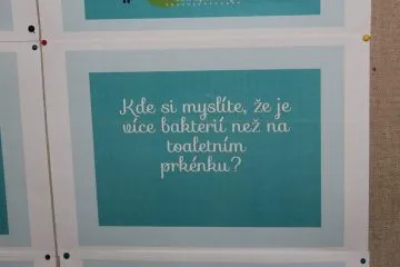 53_2