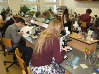 Bio4