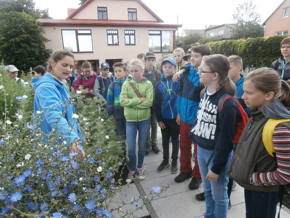Moravskotřebovští primáni objevovali kouzlo bylinek