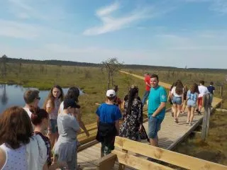 tundra