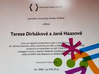 Cena-prorektora