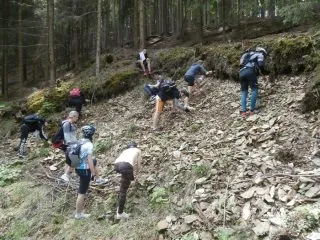 Hrebec-3