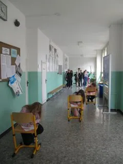 zsv