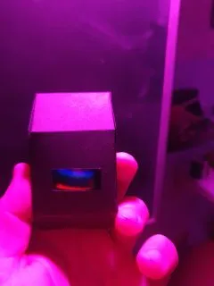 20250922_071046