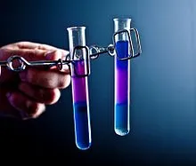Chemická průmyslovka uzavřela memorandum o&nbsp;spolupráci s&nbsp;Ústavem experimentální botaniky AV ČR