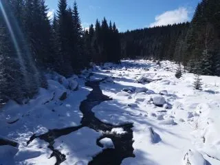 20180321_095913