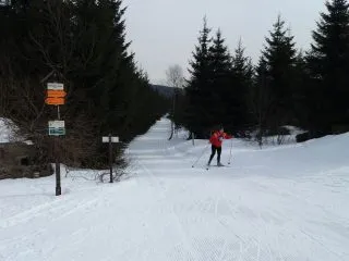 20180322_1011121