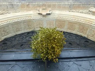 20171220_083409_resized