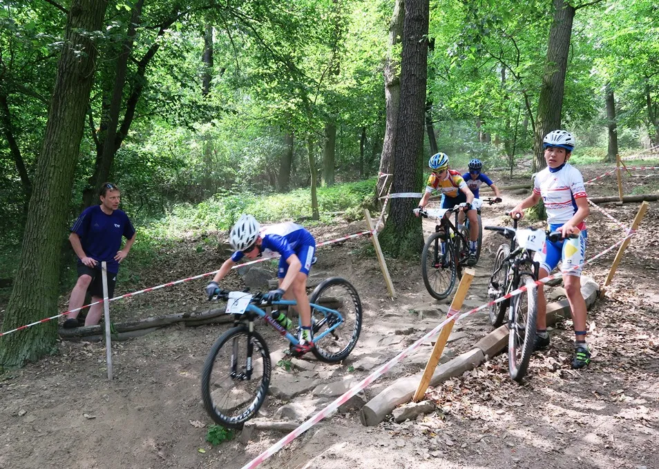 Sportovci Pardubického kraje na cestě za olympijskými medailemi