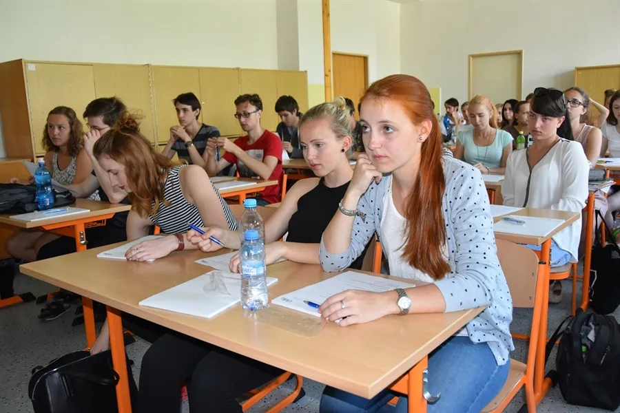 Proč není inteligence přímo úměrná výši příjmu