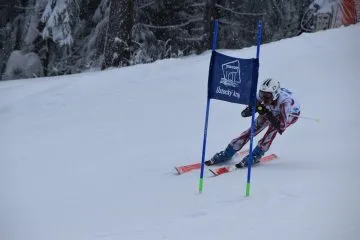 Josef-Brynda_Alpske