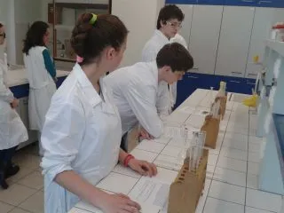 laborator-10