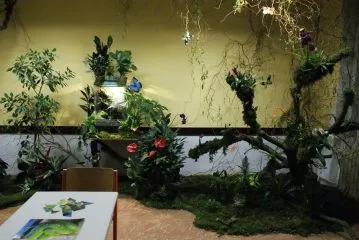 DSC04345