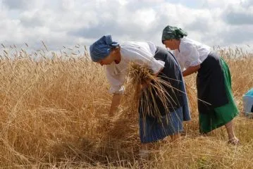 Seceni_obili_Sebranice_2_7_2009_12