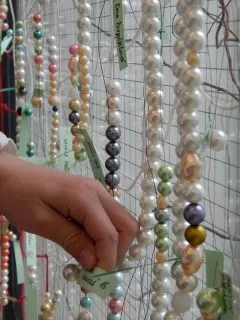 DSCN0169