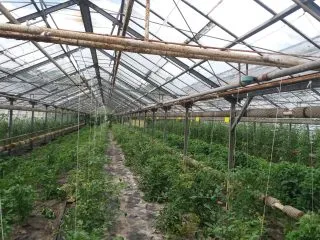 20170710_094736