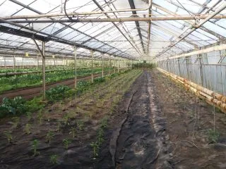 20180510_065529