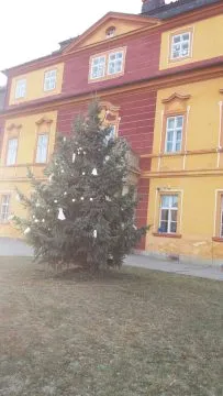 20181130_082810
