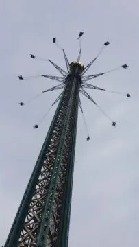 10385553_426670617493775_6686964171399900409_n