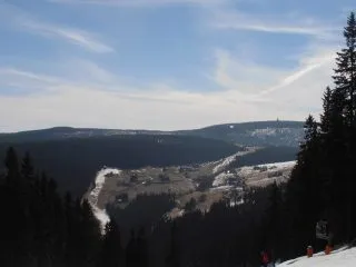 P3201459-640×480