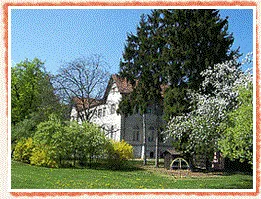 Foto1
