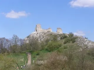P4200906