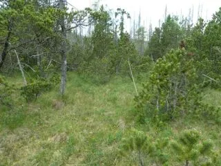 P1060875