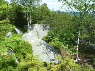 P1060884
