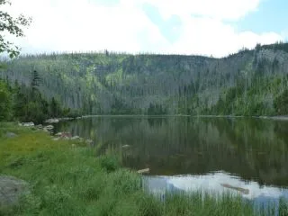 P1060907