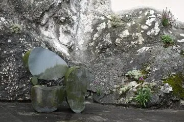 MNZ2278-kopie