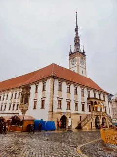 IMG_6145
