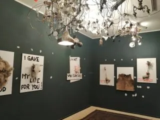 353834402_978963970189850_1324286973570355660_n