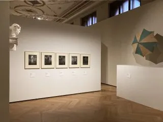 Sudek-Rothmayer-2