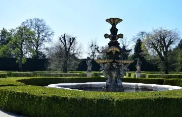 DSC_0099-01