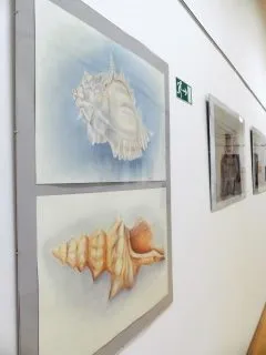 P1120715