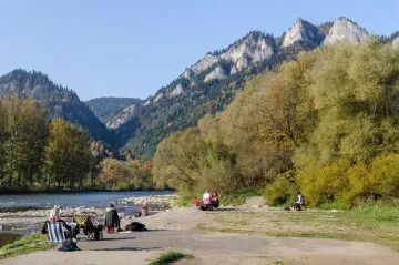 DSC_50432