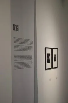 42211140_295430921273382_8168331647217827840_n