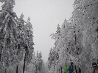 lyzak-2016-5