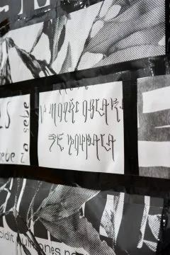 DSC01660