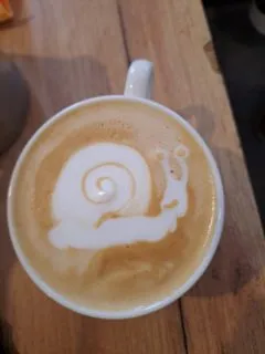 1000048552