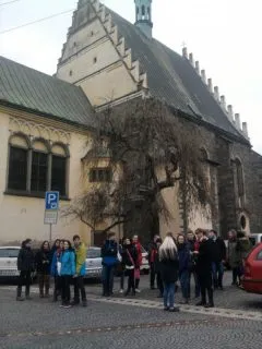 muzeum-1