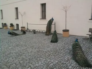 muzeum-2