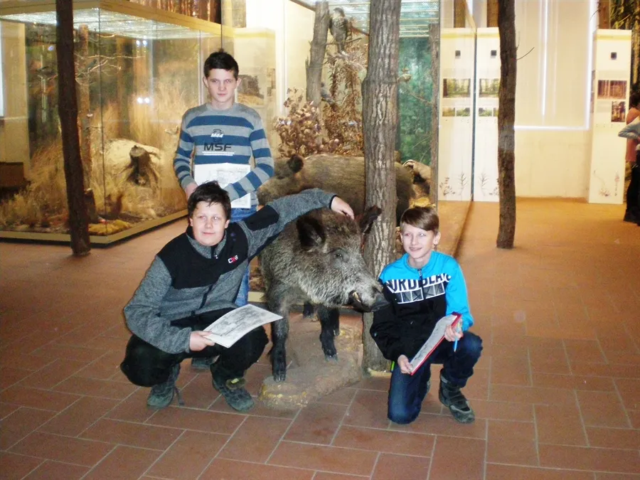 Příroda kolem nás