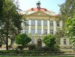 Foto1