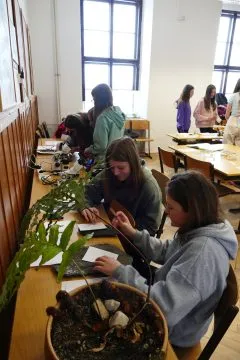 P1640773