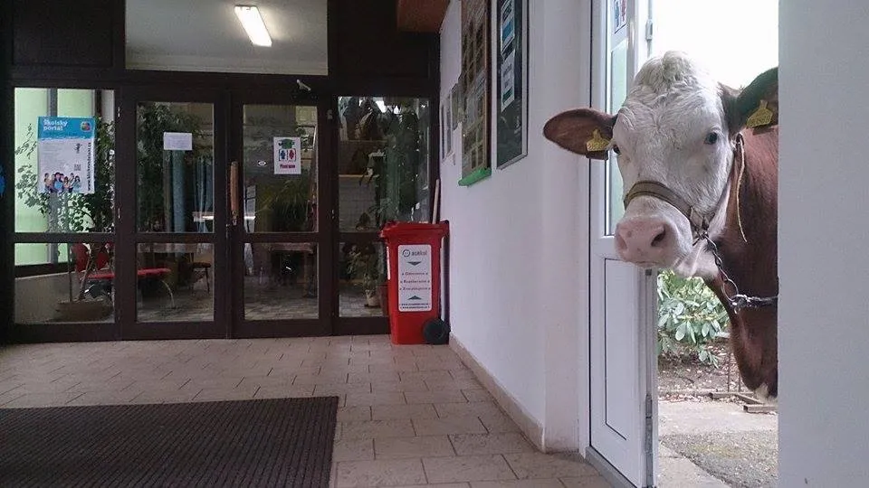 Den otevřených dveří – Střední škola zemědělská a&nbsp;veterinární Lanškroun