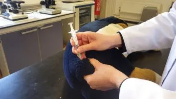 I-takto-mohou-vypadat-ucebni-pomucky-Royal-Veterinary-College-v-Londyne-2