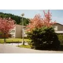 Foto3